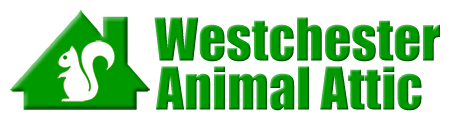 Westchester
 Animal Attic